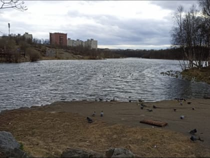 На выходных в Мурманской области облачно и дождь. Дальше похолодает