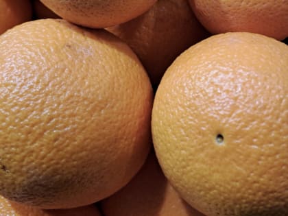 В России рекордно подорожали апельсины