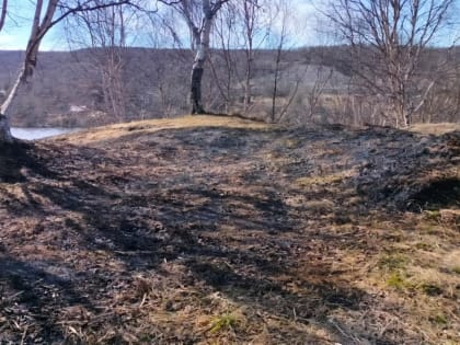 Семь возгораний сухой травы ликвидировали пожарные в Мурманской области