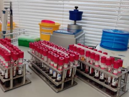 Лабораторная диагностика блютанга методом ПЦР.