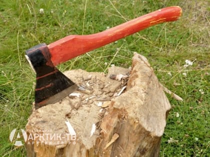 Спрос на новый персонал в сфере лесной промышленности России за год вырос на 13%