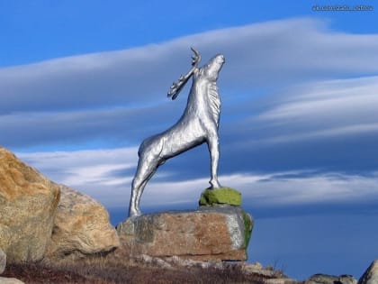 Дорогие земляки! Примите самые теплые поздравления с 85-летием со дня образования Мурманской области!