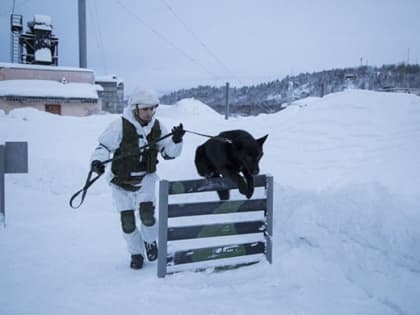 Военнослужащие Северного флота готовятся к Армейским международным играм