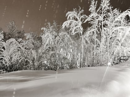 Снежная и ветреная погода ожидается в Мурманской области