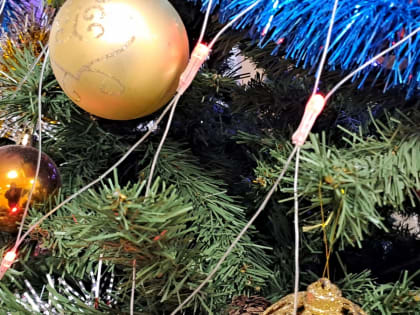 Как из-за новогоднего стола не попасть на больничную койку?