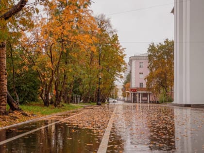 Сентябрь 2023-го может стать самым теплым в истории Мурманска