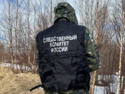 Избил ногами, добил молотком