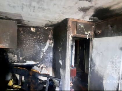 Пожарные спасли человека в Кольском районе