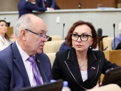 Поправки к бюджету: поддержка социальных инициатив и военных семей