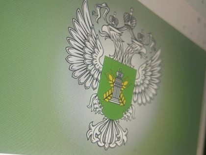 Опасную находку обнаружили в магазине в Мурманске