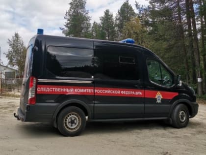 Обвиняемый в убийстве 8-летнего мальчика пойдет под суд в Мурманской области
