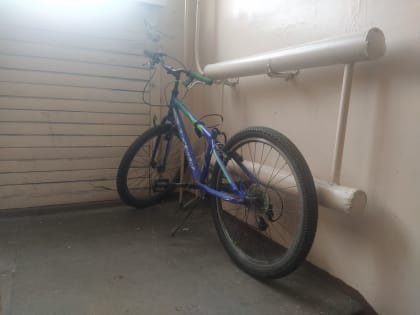 В Мурманске с помощью "умного" домофона задержали вора