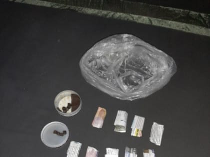 Житель Мурманской области предстанет перед судом за незаконный оборот наркотиков