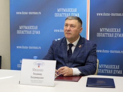 Первый вице-спикер регионального парламента Владимир Мищенко прокомментировал ежегодный отчет Правительства РФ