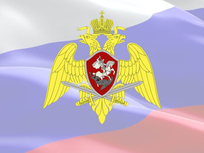Росгвардейцы приняли участие в обеспечении безопасности в период празднования Нового года