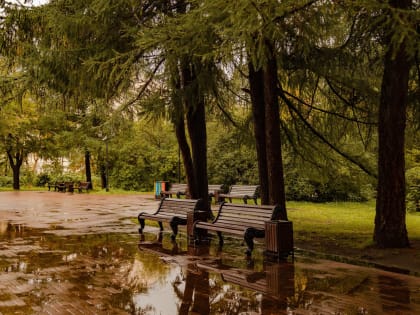 До +12 градусов ожидается в Мурманской области