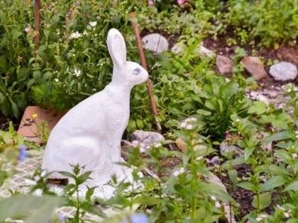 Мурманчан приглашают поучаствовать в опросе