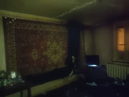 В Мурманской области  огнеборцы  вчера справились с двумя пожарами за вечер