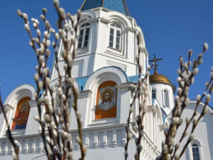 В праздник Входа Господня в Иерусалим митрополит Митрофан совершил Божественную литургию в храме Спаса на водах