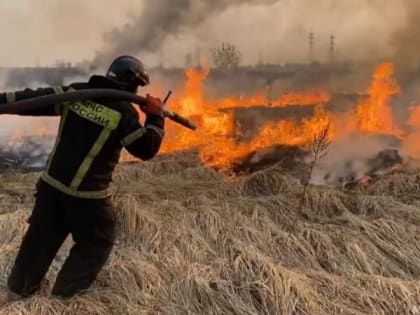 В черте Мурманска выгорело 100 квадратных метров сухой травы
