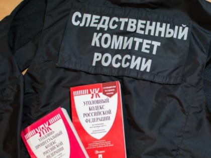 Несовершеннолетняя жительница Апатитов подозревается в причинении телесных повреждений полицейскому