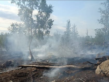 Возле Никеля сгорела трава на площади 300 квадратных метров