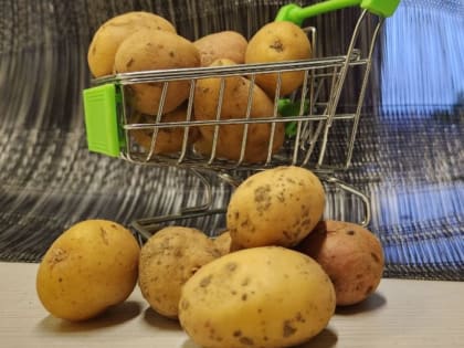 Росстат: Годовая инфляция в России менее 12%