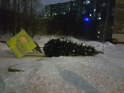 Во власти стихии: В Мурманске штормовое предупреждение, а самолет из Москвы дважды уходил на запасной аэродром