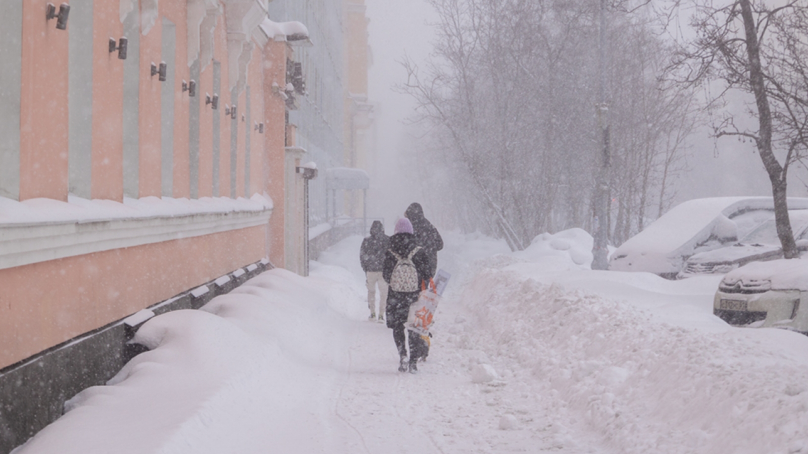 Погода александре