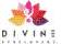 Divine Developers logo