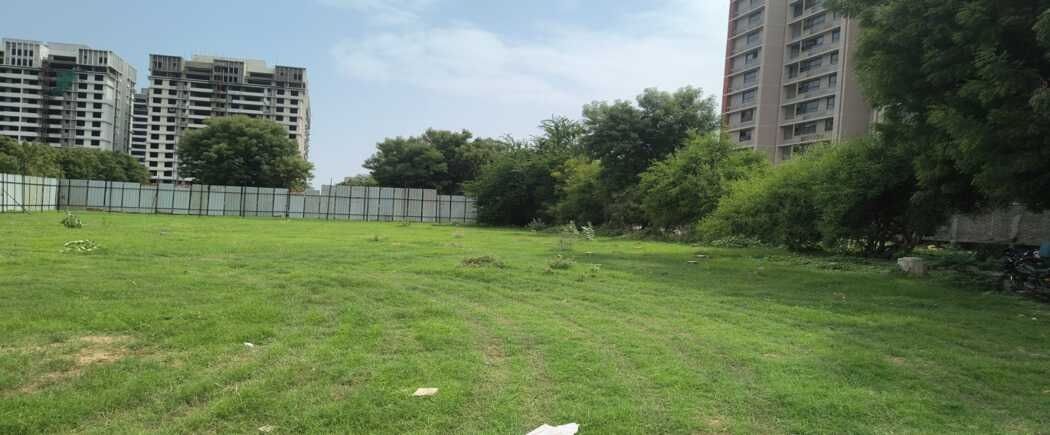Riona Binori Belora, Shela, Ahmedabad