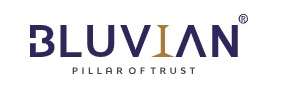 Bluvian Group logo