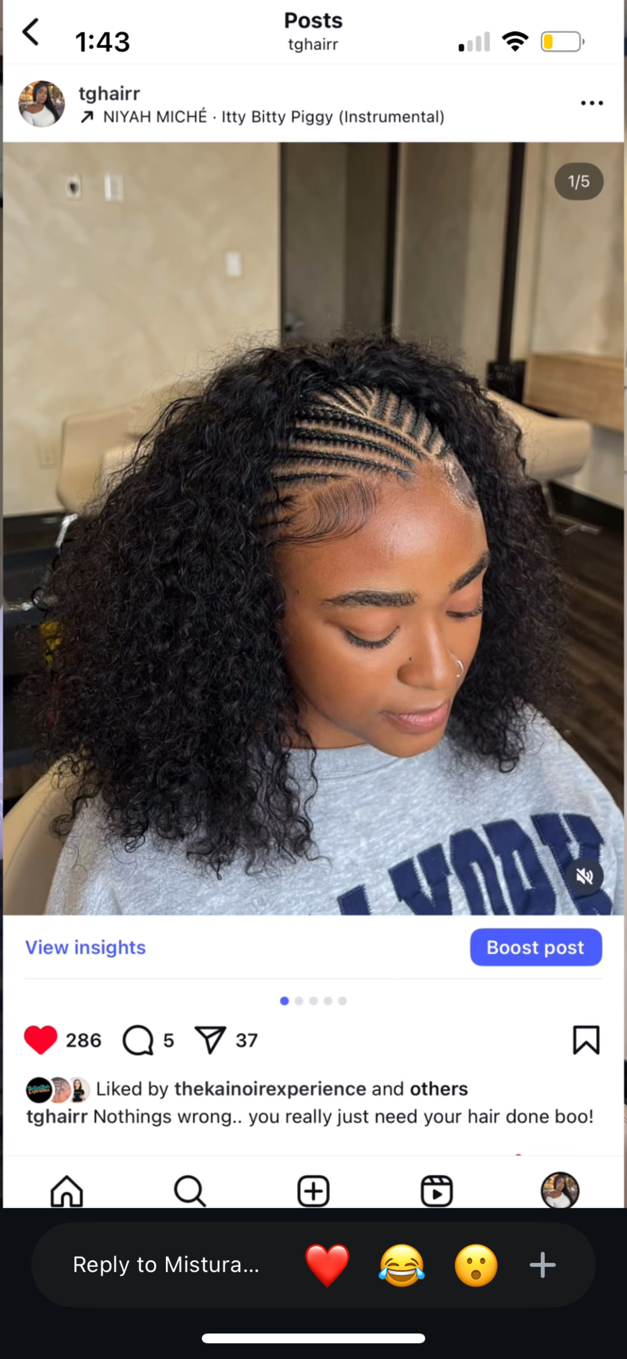 Crochet Braids by Mariama African hair braiding in Houston, TX