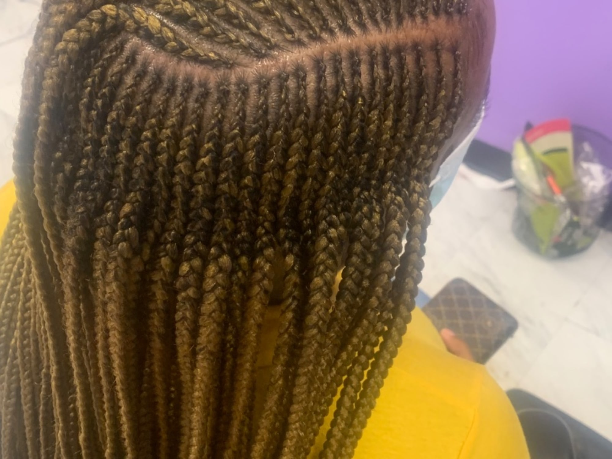 Fulani Braids by Braid Master in Pearland, TX
