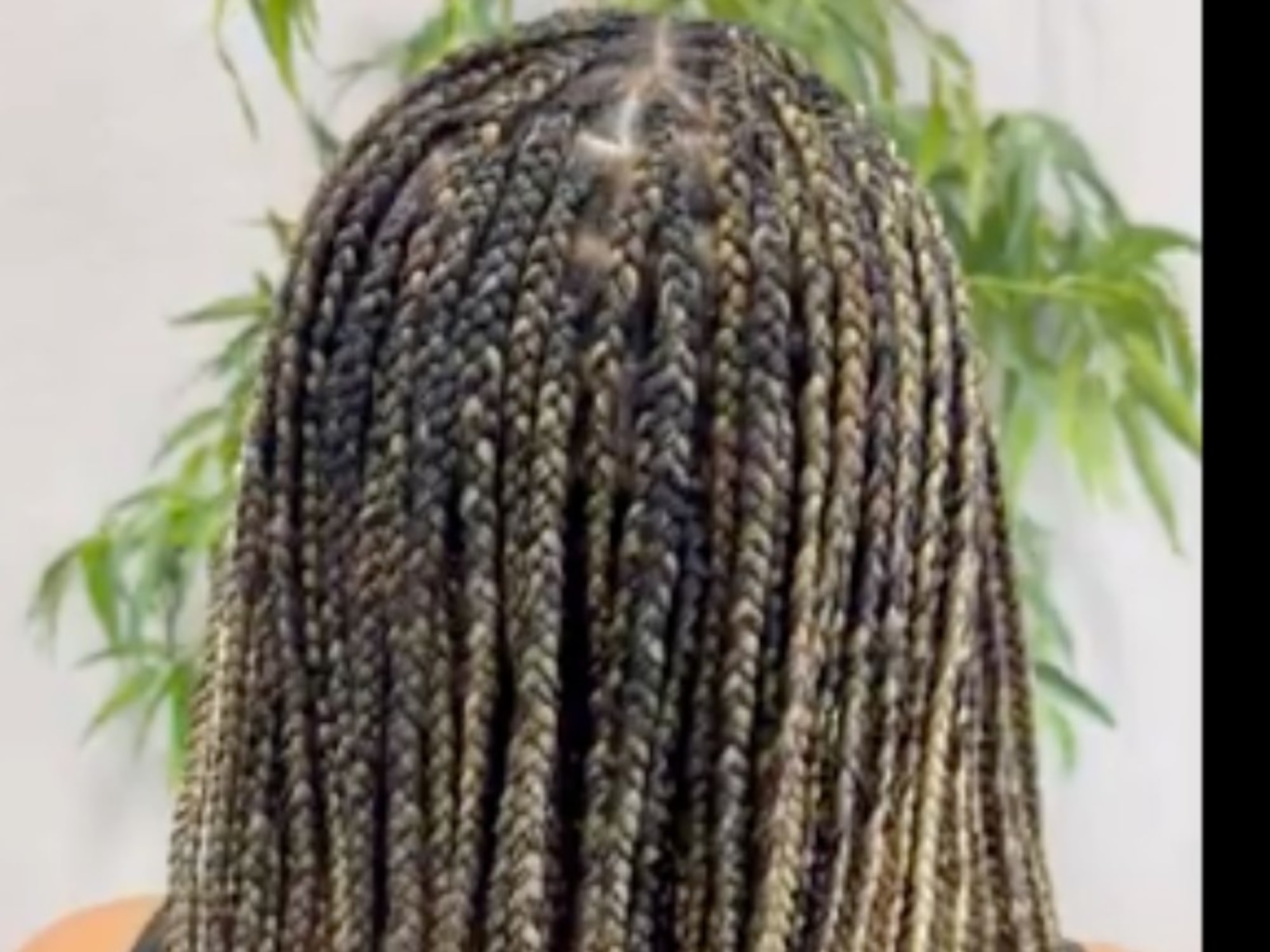 Knotless Braids by Korah's Braiding Salon in Haltom City, TX