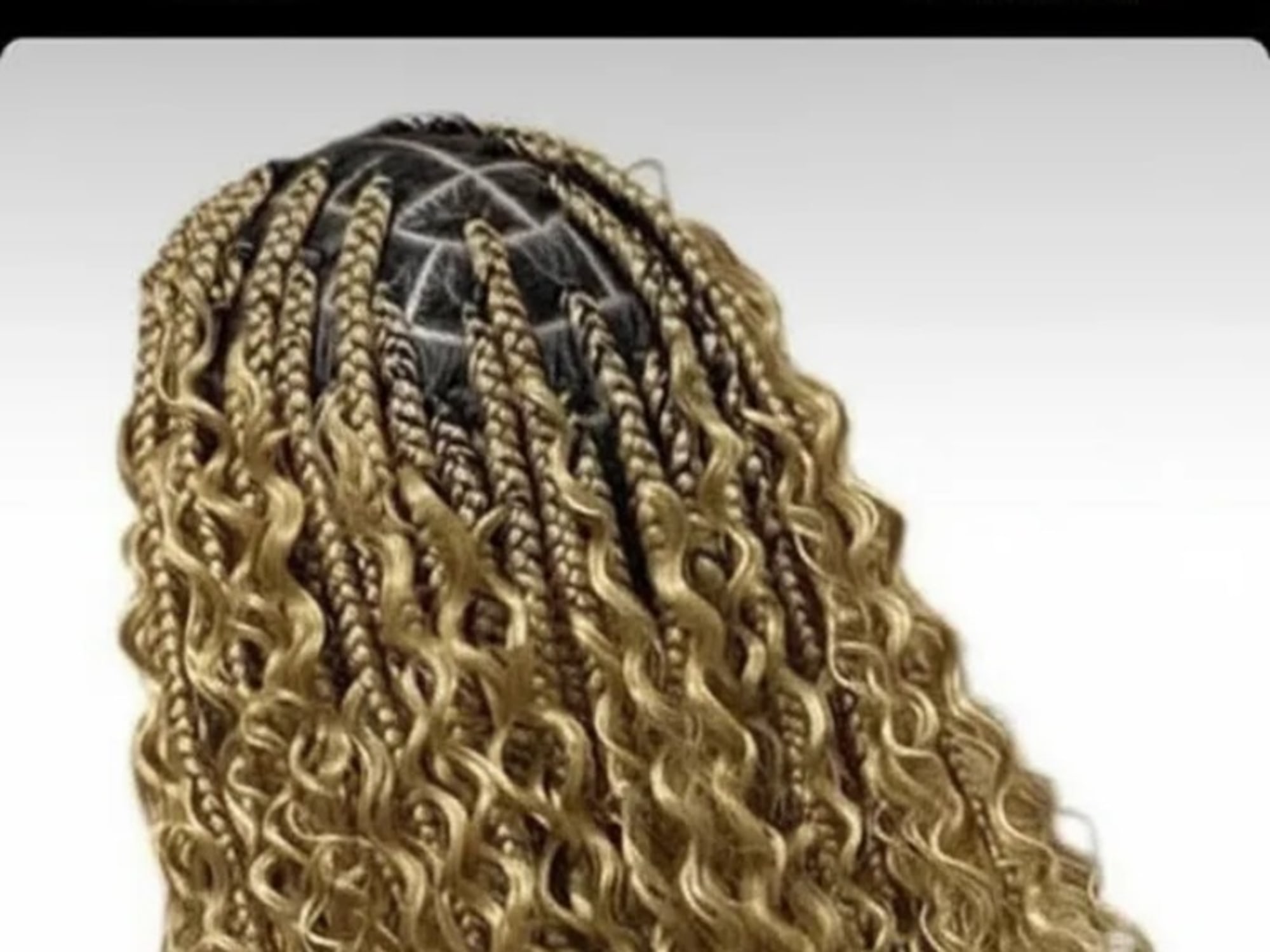 Box Braids by Top African Hair Braiding Fama in Jersey City, NJ