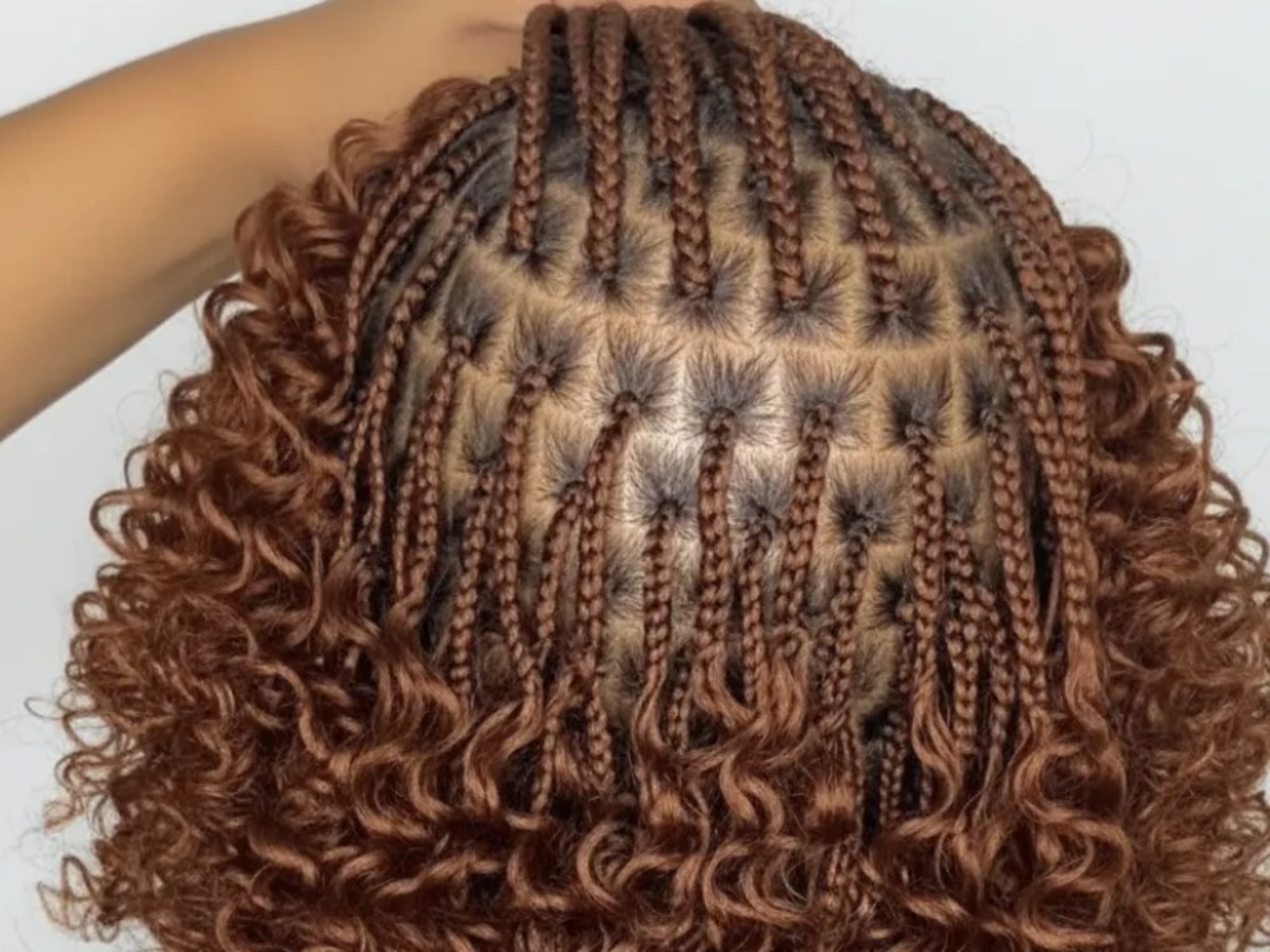 Box Braids by Top African Hair Braiding Fama in Jersey City, NJ