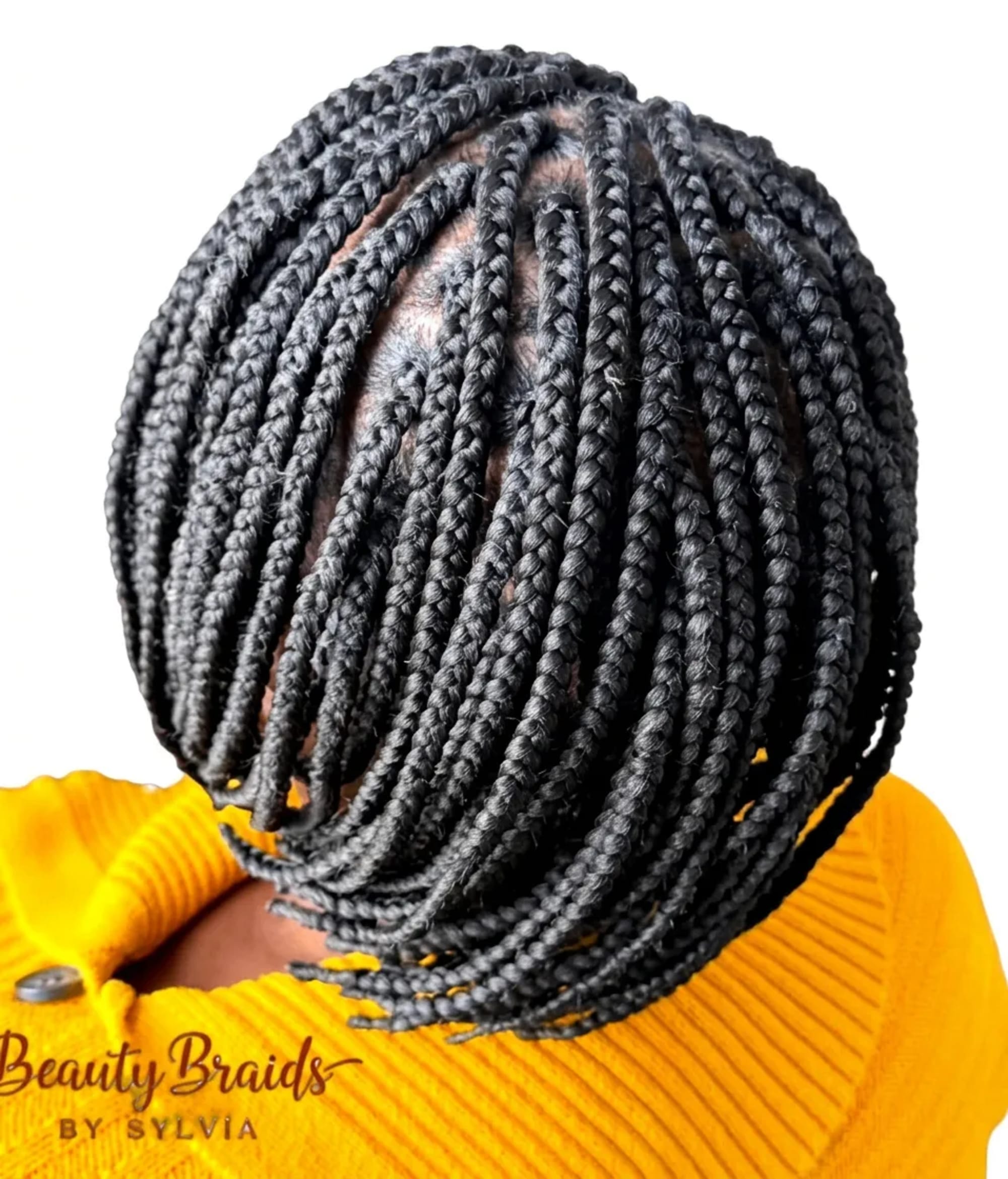 Sylvia African Hair Braiding hair braiding