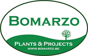 Bomarzo Logo