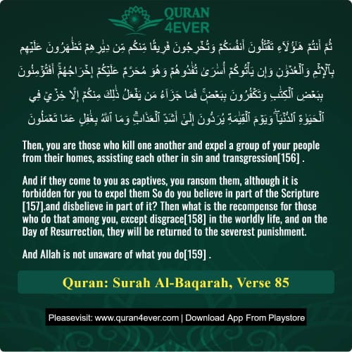 Quran Surah 2 Verse 85