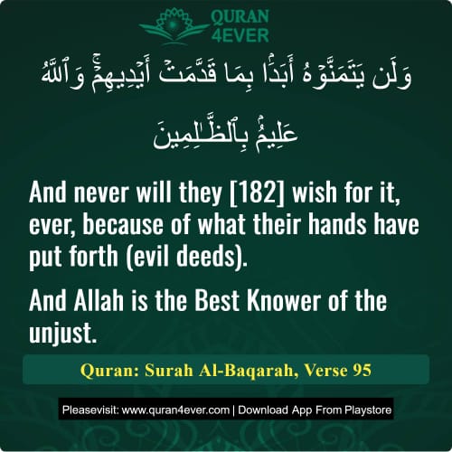 Quran Surah 2 Verse 95