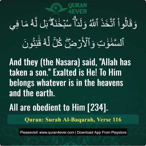 Quran Surah 2 Verse 116