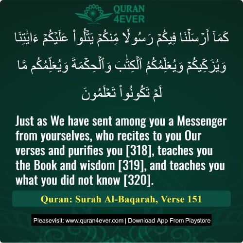 Quran Surah 2 Verse 151