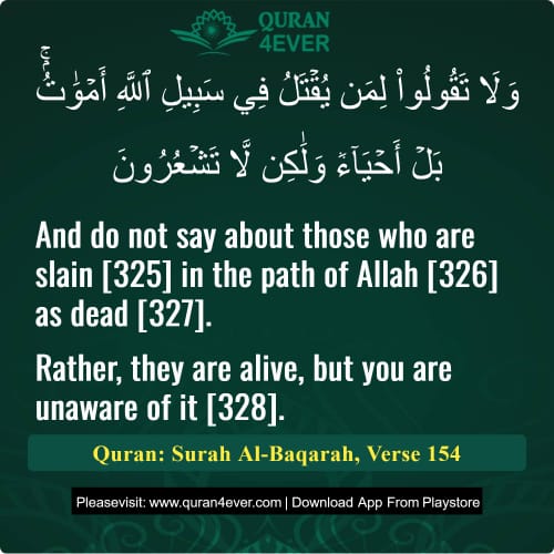 Quran Surah 2 Verse 154