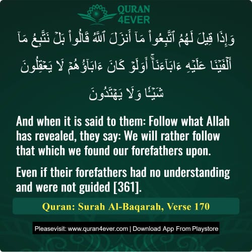 Quran Surah 2 Verse 170