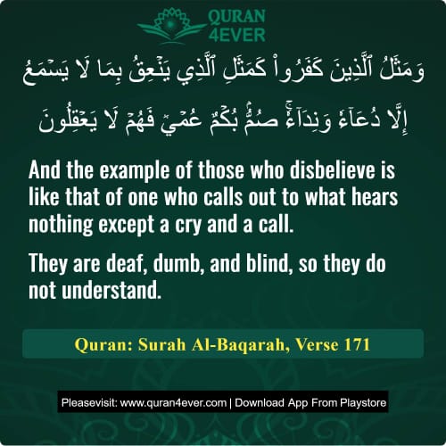 Quran Surah 2 Verse 171