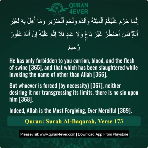 Quran Surah 2 Verse 173