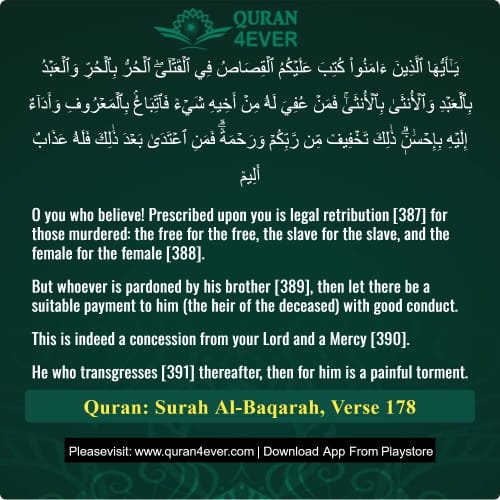 Quran Surah 2 Verse 178