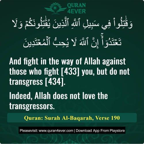 Quran Surah 2 Verse 190
