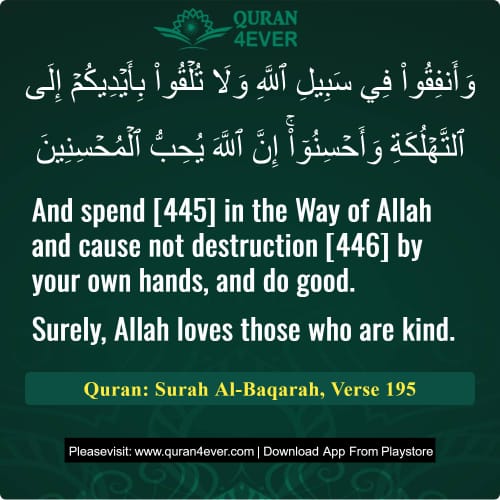 Quran Surah 2 Verse 195
